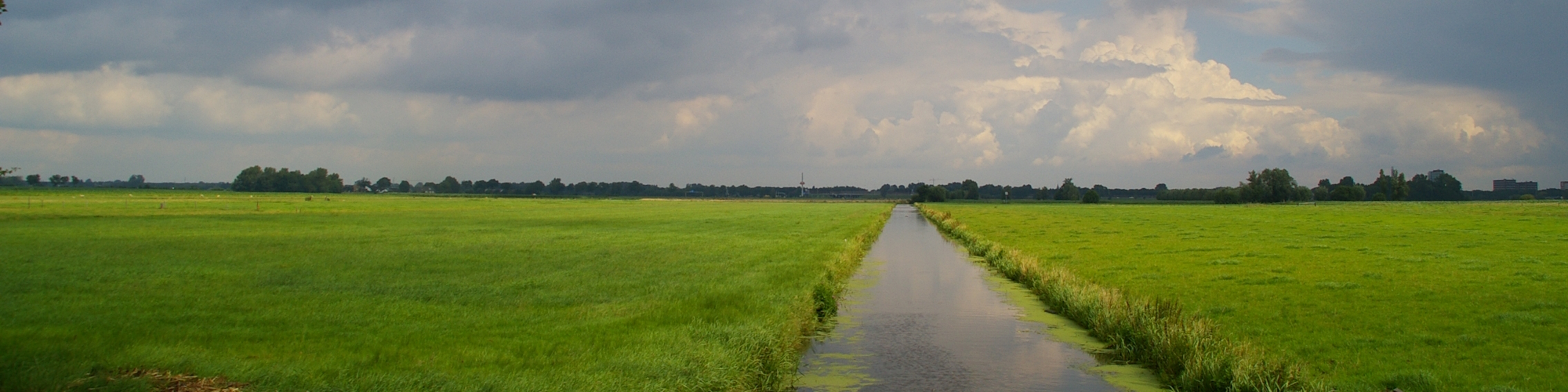 Rijnenburg: nieuwbouw op historische gronden