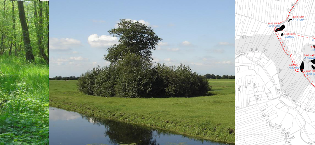 Groen in Rijnenburg als bewaarplaats voor archeologie