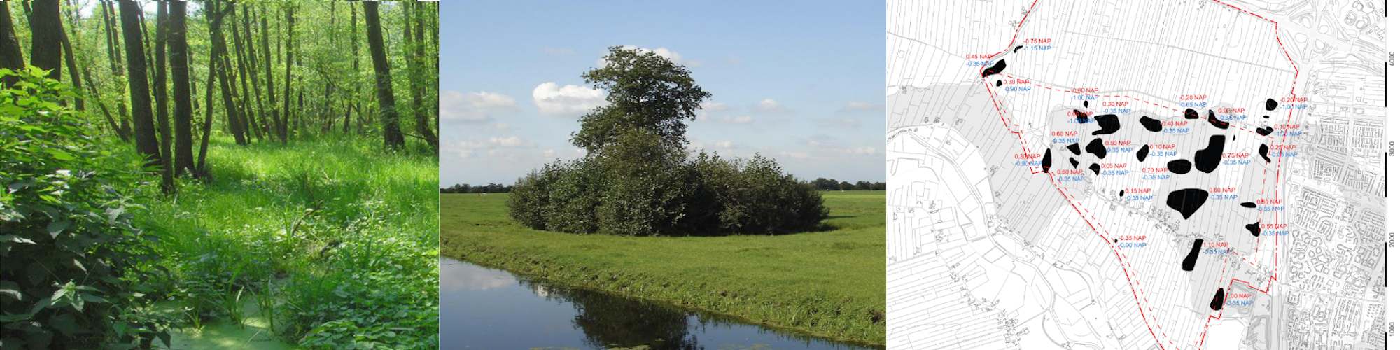 Groen in Rijnenburg als bewaarplaats voor archeologie